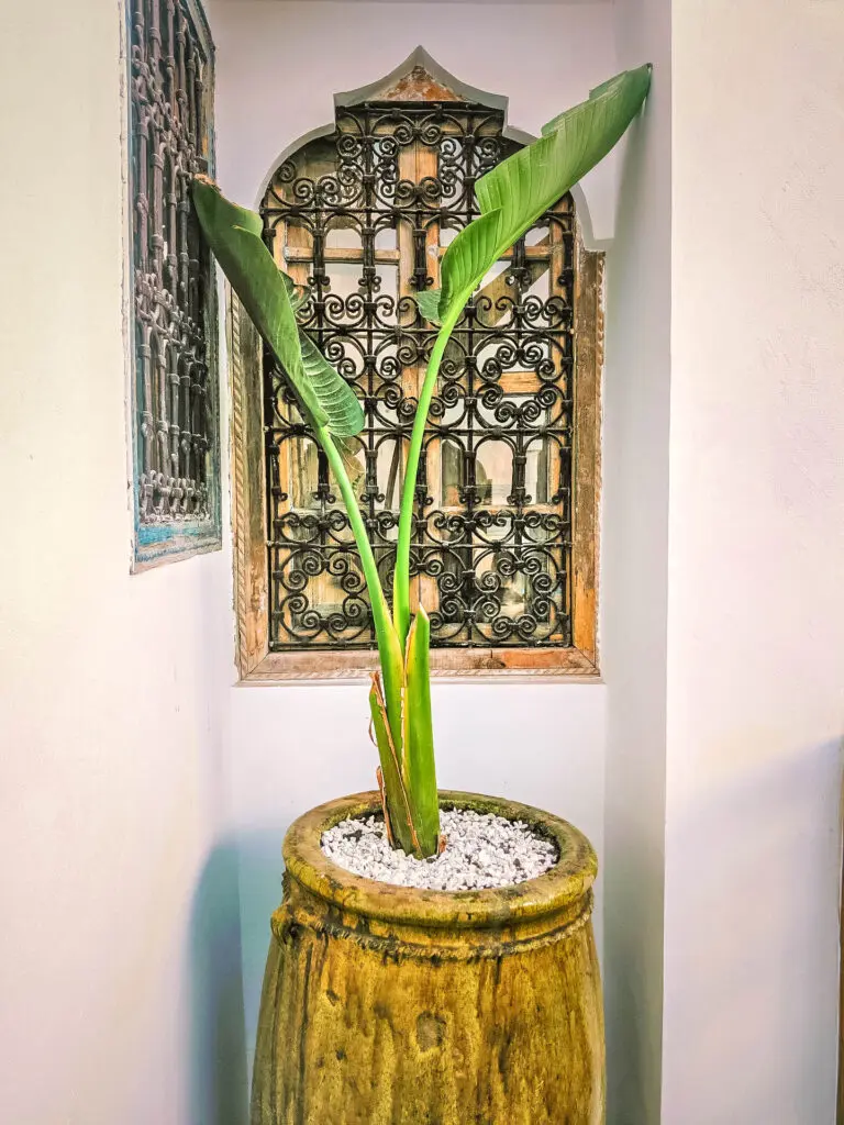 Marocco sustainable travel
